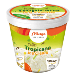 Mingo Icecream 473ml – Tropicana