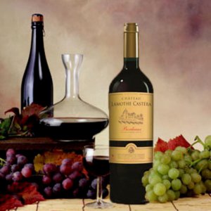 Rượu vang đỏ CHÂTEAU LAMOTHE CASTÉRA 750ml