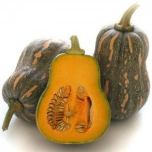 Pumpkin (Gourd shape)