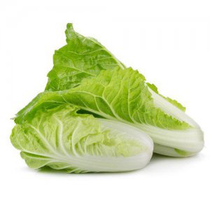 Chineese Cabbage.
